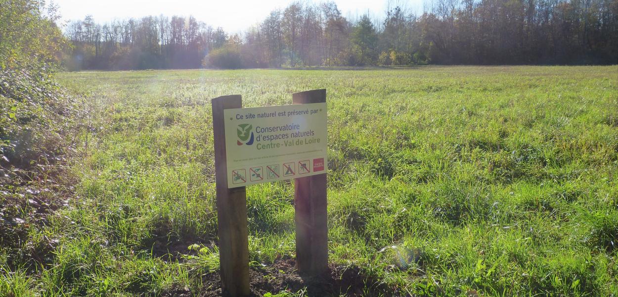 Pleins phares sur les actions du Cen Centre-Val de Loire