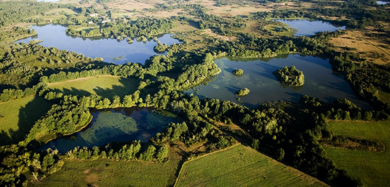 Préserver une des plus grandes zones humides de Centre-Val de Loire | Parc naturel régional de la Brenne