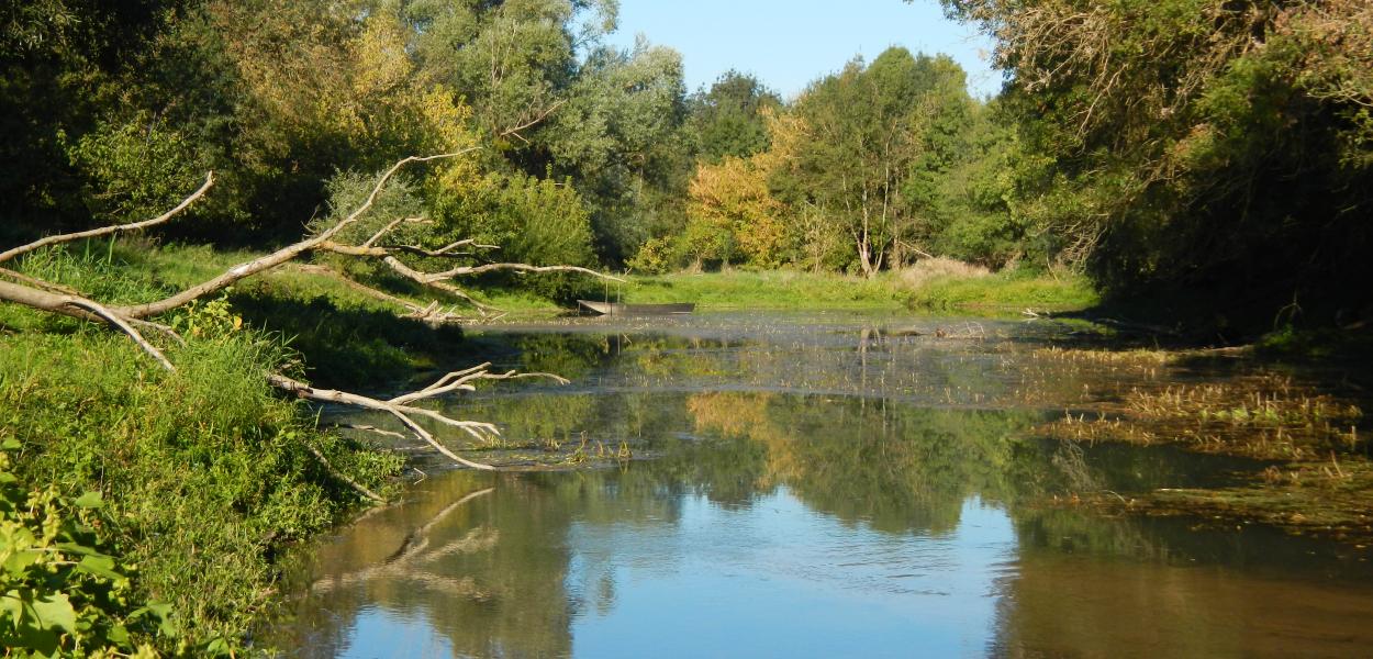 Remettre de la vie dans les rivières | Fédération de pêche d’Indre-et-Loire