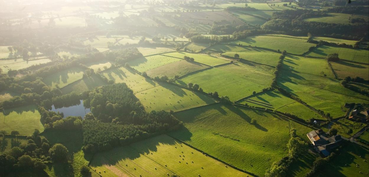 Panorama 2021 : les données de l'année sur la biodiversité régionale