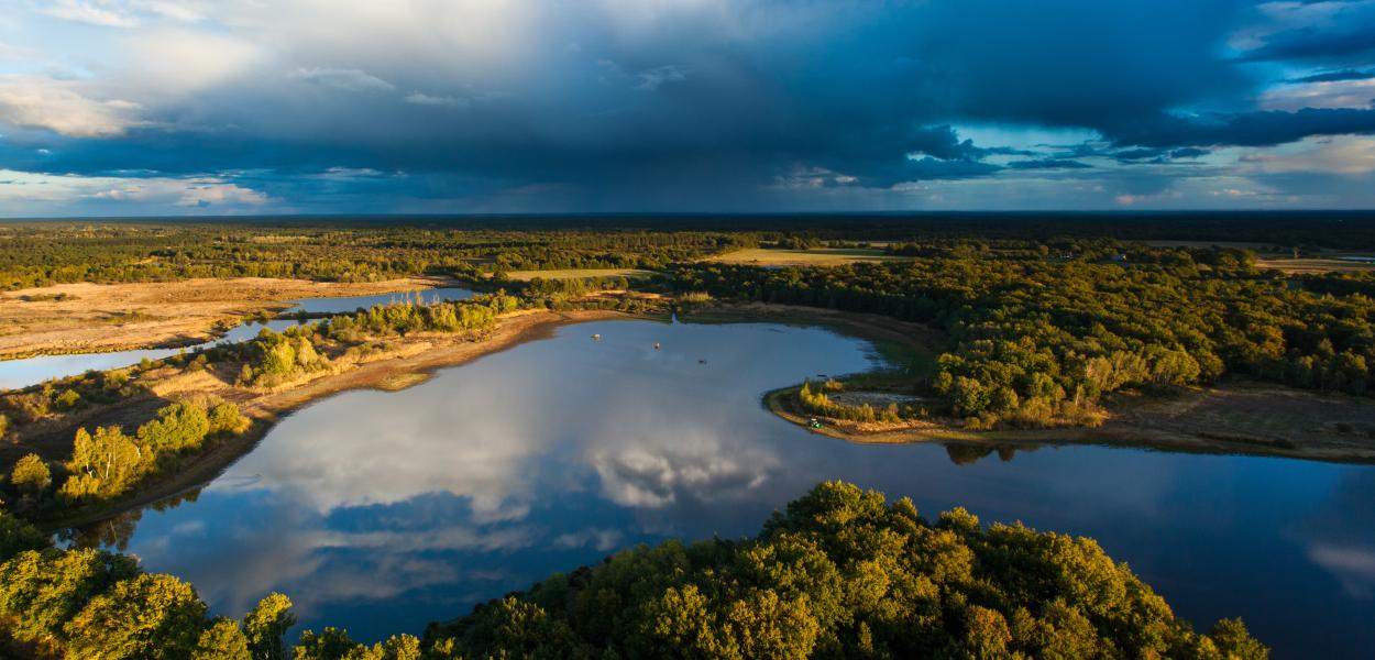 Comprendre l'interdépendance entre l'eau et la biodiversité : les nouvelles données