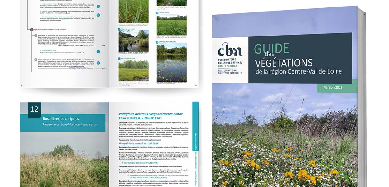 Publication en ligne du guide des végétations de Centre-Val de Loire