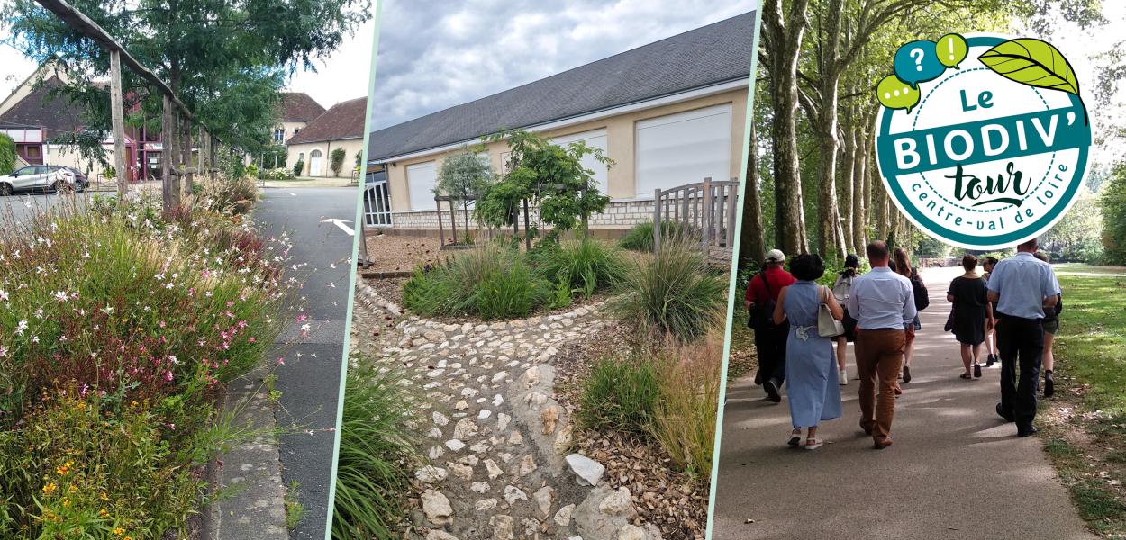 Santé et biodiversité : 3 visites pour les collectivités !