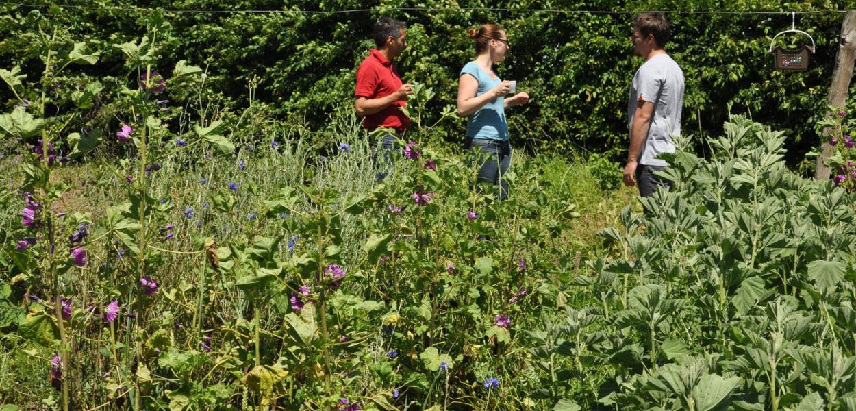Bienvenue dans mon jardin au naturel