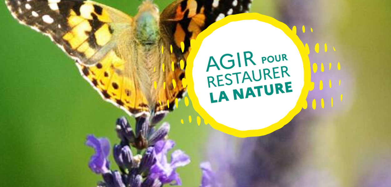 Concertation autour du Règlement européen sur la restauration de la nature