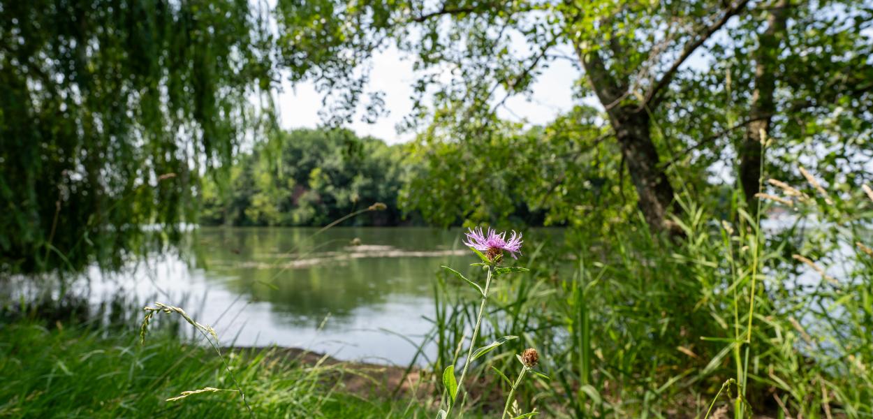Deux collectivités du Centre-Val de Loire lauréates du concours Capitale Française de la Biodiversité 2025