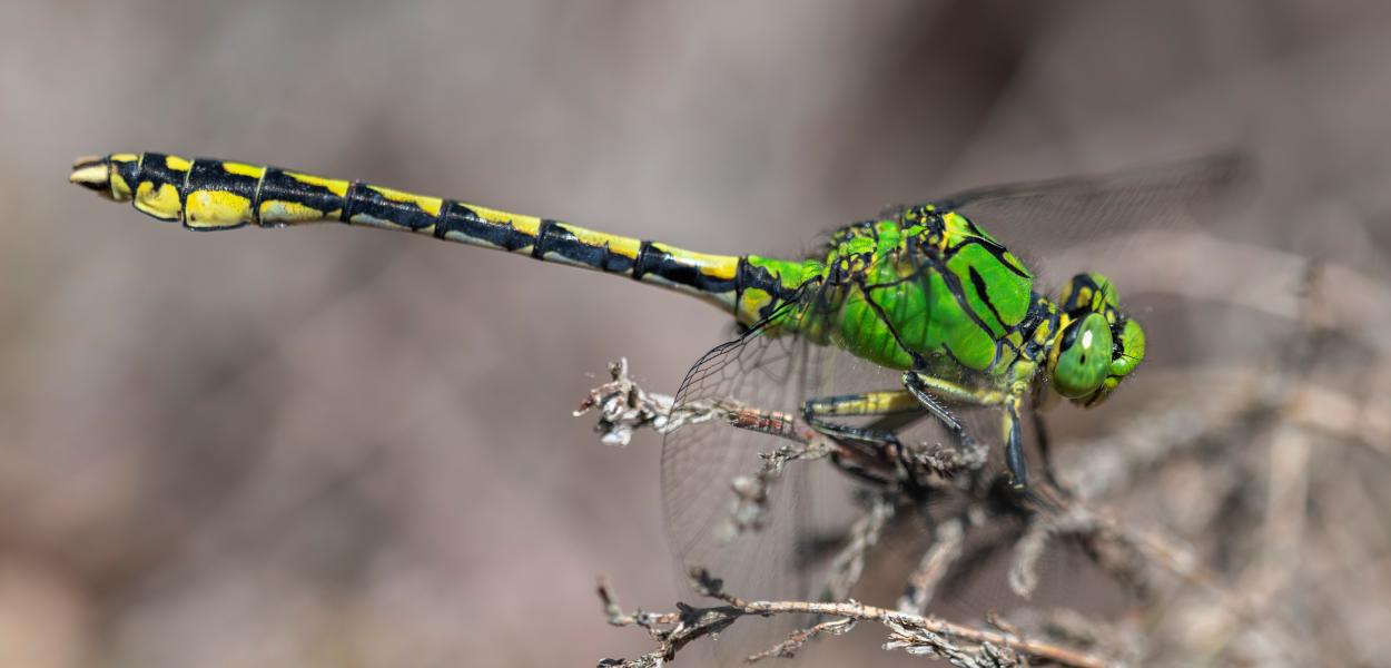 Connaître pour mieux protéger : l'essentiel en 3 minutes !