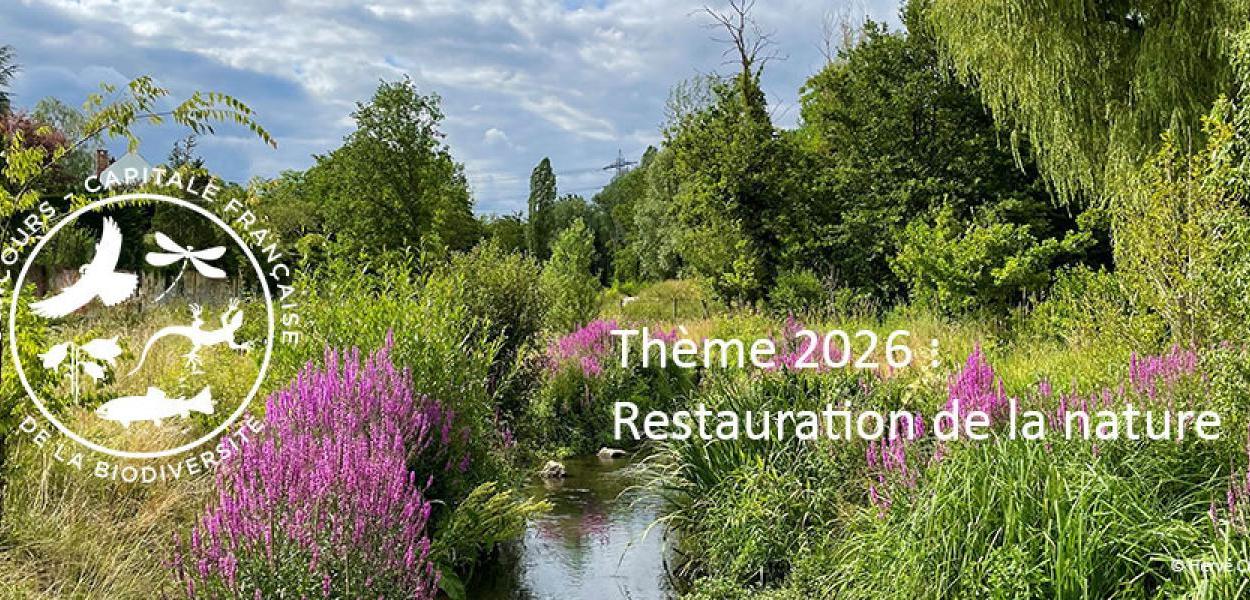 Edition 2026 - Concours Capitale Française de la Biodiversité sur le thème "Renaturation de la nature"