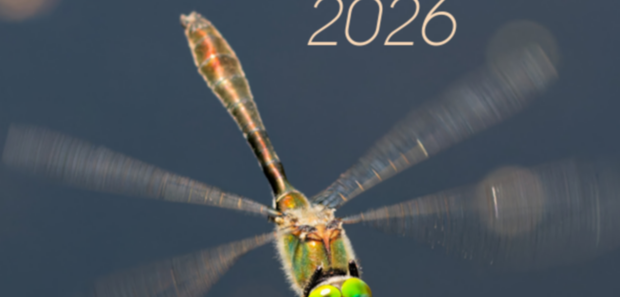 L'édition 2026 des stages en Brenne est lancée par le CPIE