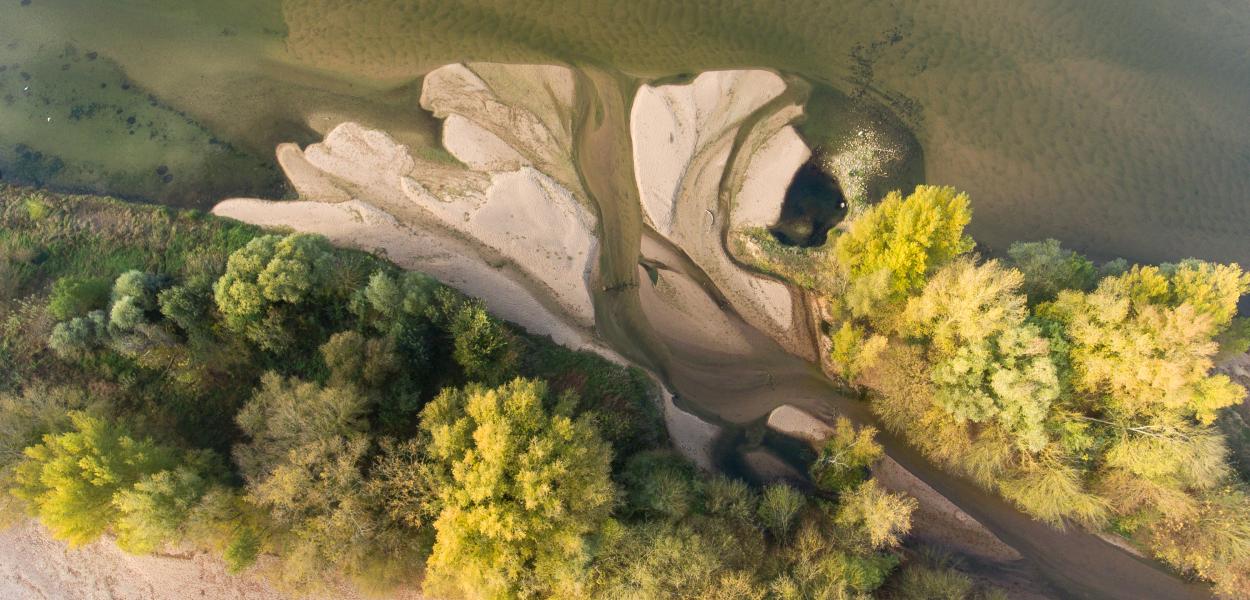 Crues et biodiversité