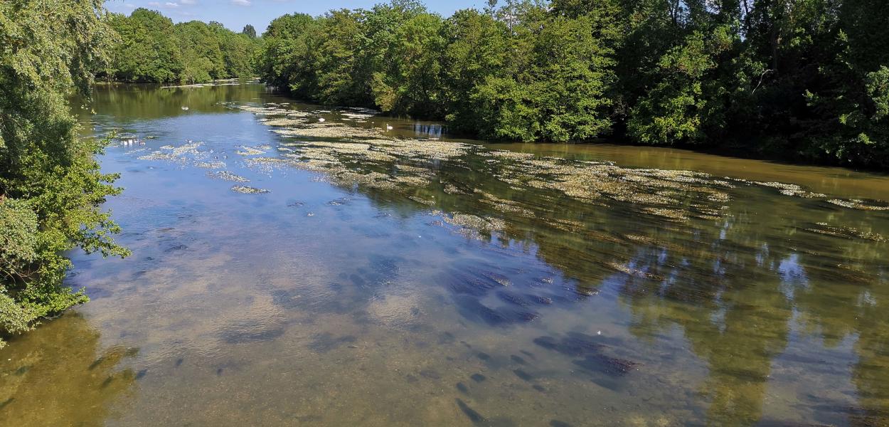 Informer et sensibiliser - enjeux et aides | Agence de l'eau Loire Bretagne