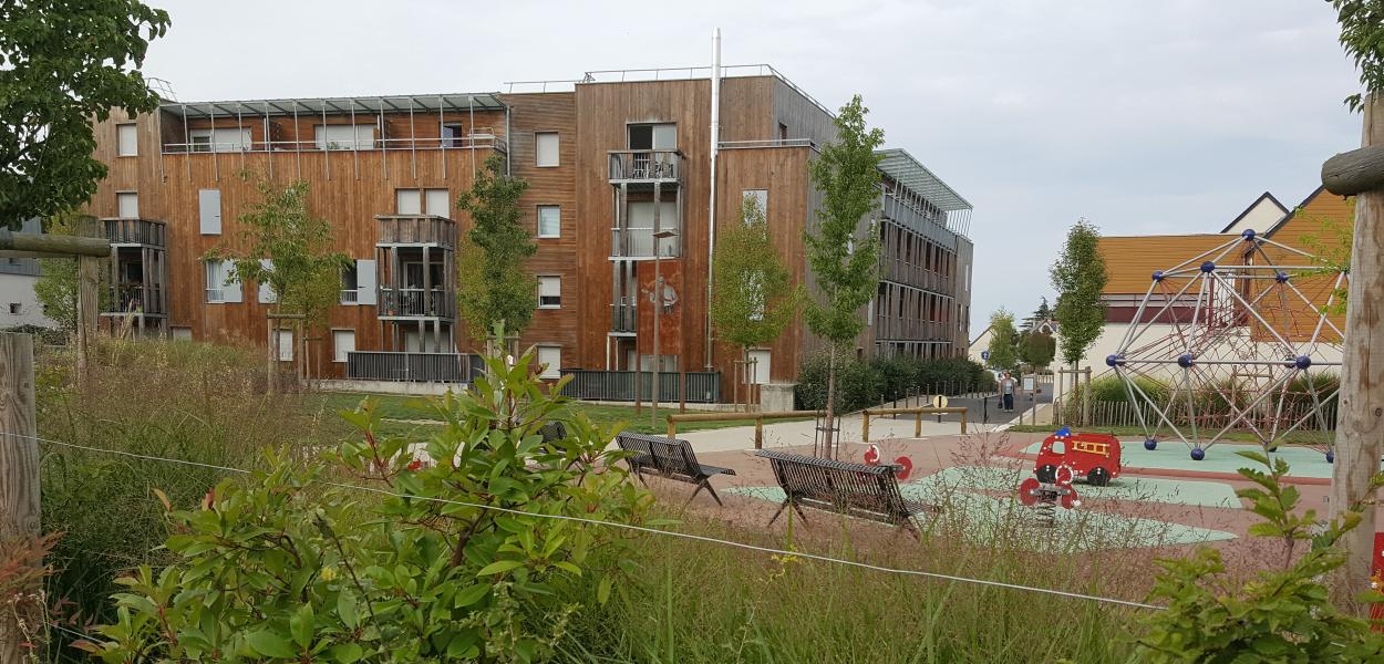Réintroduire la nature en ville : une stratégie essentielle pour la construction durable - Intégration de la biodiversité en milieu urbain