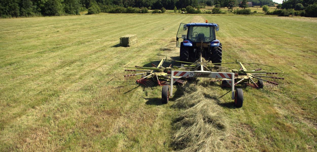 Biodiversité et agriculture