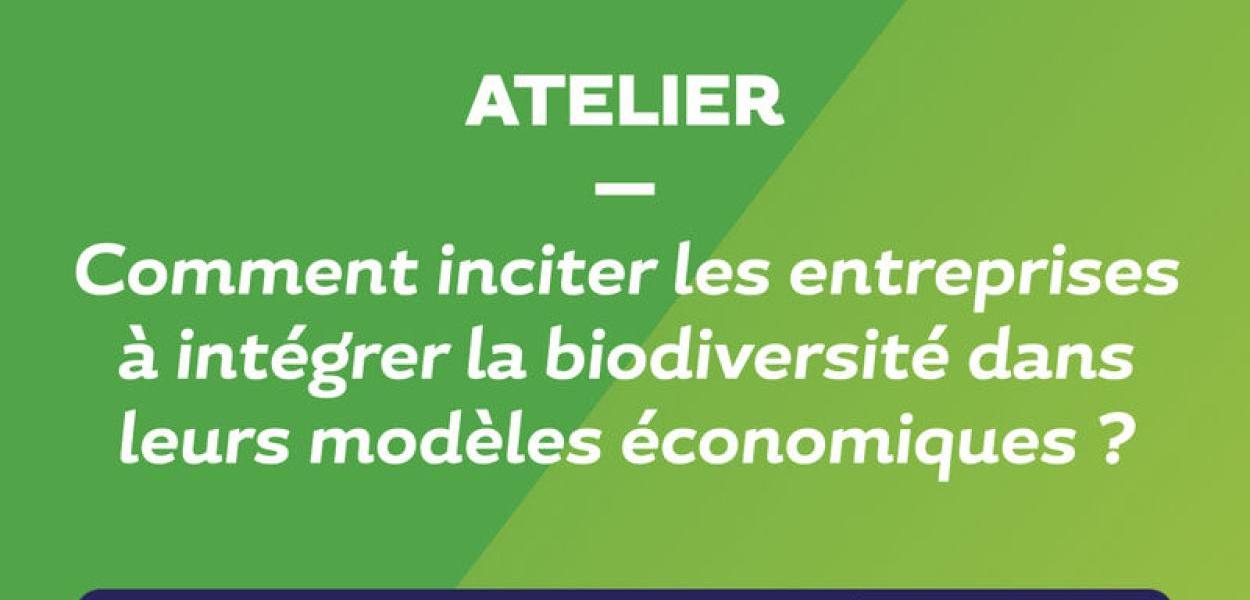 Atelier "Entreprises et biodiversité" aux ­États Généraux de l'Économie