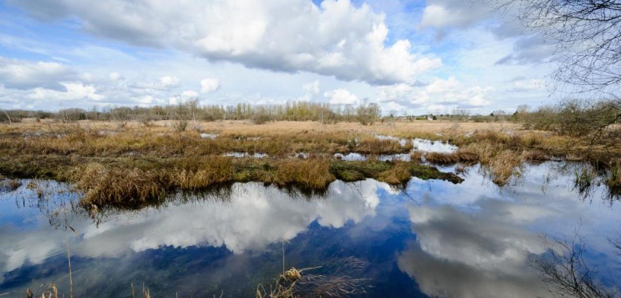 Présentation de l'Appel à Projets Eau et Biodiversité | AESN