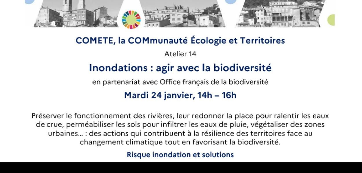 Inondations : agir avec la biodiversité | Réseau COMETE