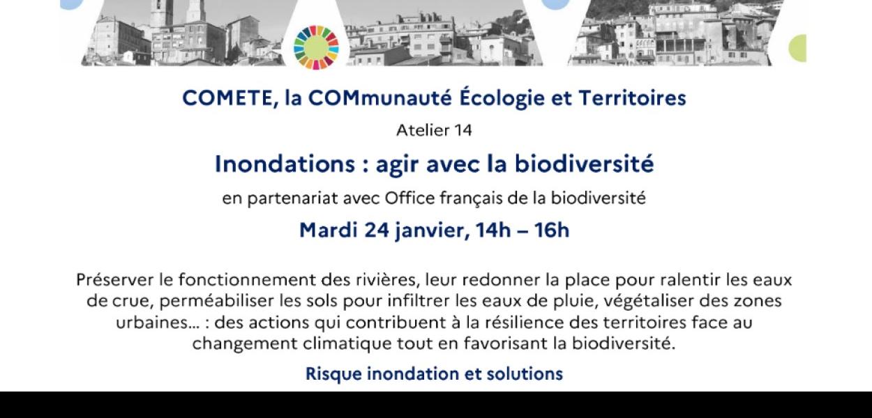 [Webinaire] « Inondations : agir avec la biodiversité » -Réseau COMETE