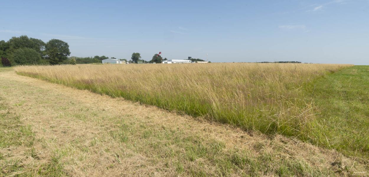 L'aéroport Tours Val de Loire obtient le label AéroBio !