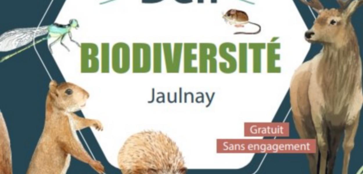 Défi citoyen pour la biodiversité à Jaulnay (37) - Inventaires naturalistes