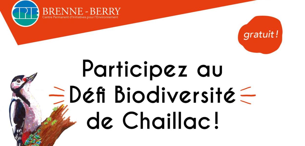Défi biodiversité à Chaillac (36) - Sortie à la découverte des espèces d'amphibiens