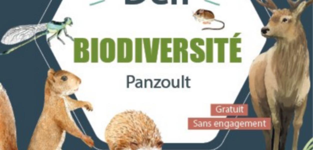 Défi citoyen pour la biodiversité à Panzoult (37) - Journée d'inventaires naturalistes