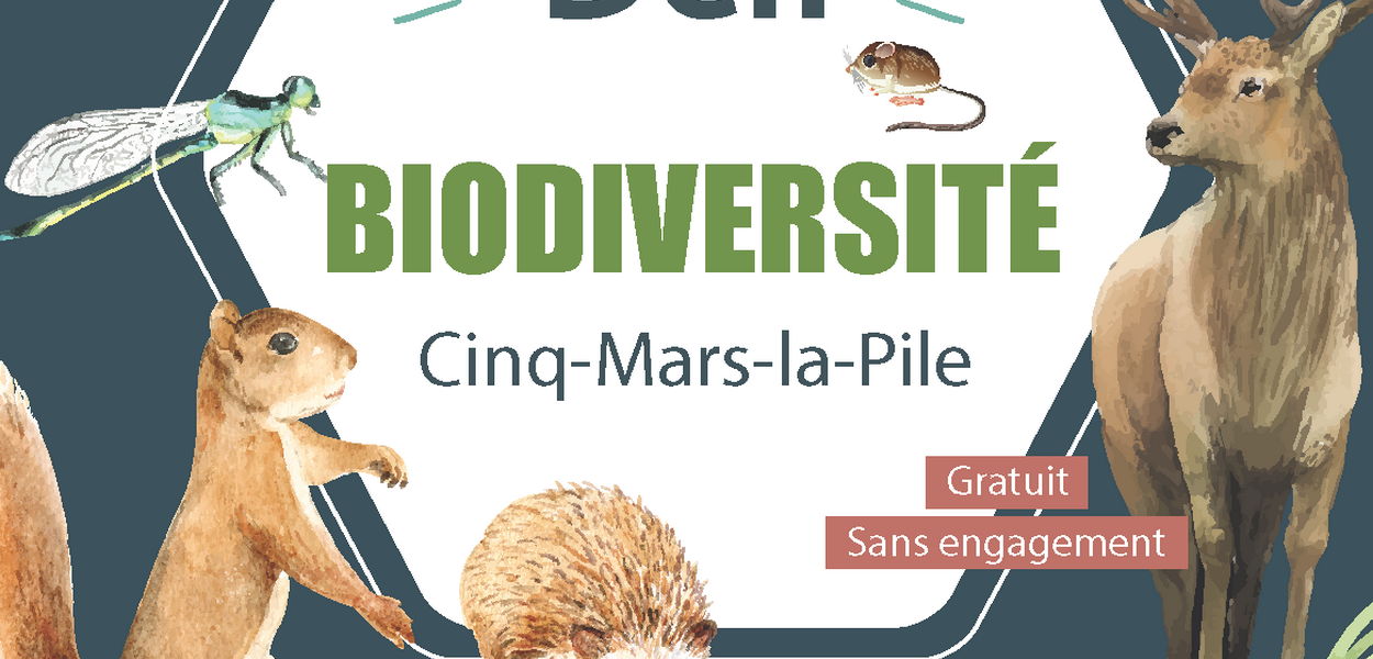 Défi citoyen pour la biodiversité à Cinq-Mars-la-Pile (37) - Découverte des espèces rares et/ou patrimoniales