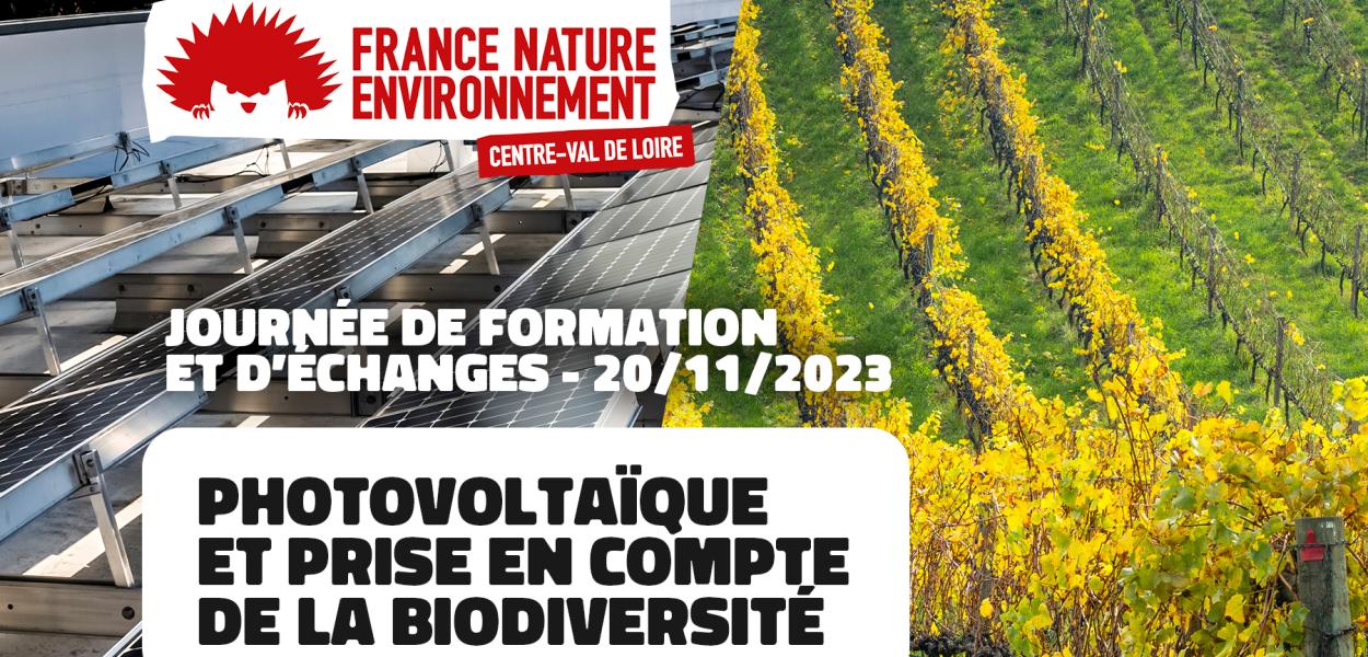 Photovoltaïque et prise en compte de la biodiversité | FNE Centre-Val de Loire