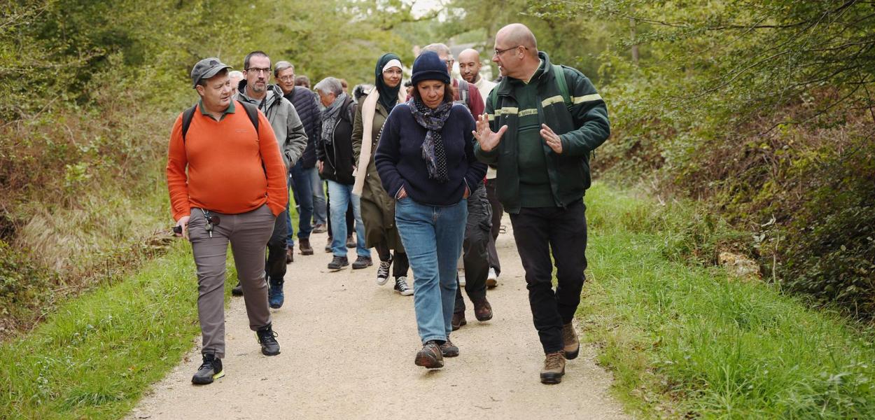 Tous en forêt : 4 sorties en Val de Loire ! | ONF