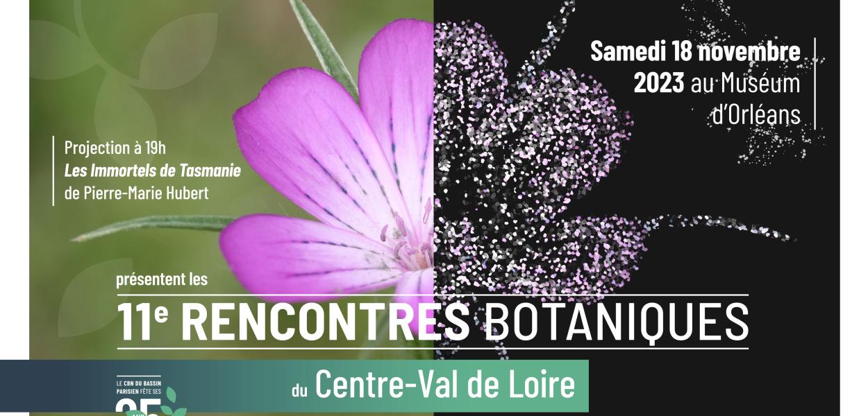 Rencontres botaniques du Centre-Val de Loire