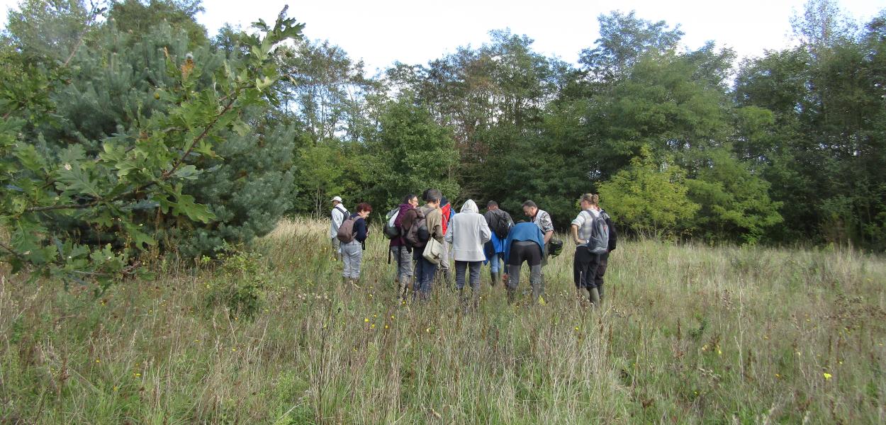 Sortie botanique au Bec d'Allier (18)