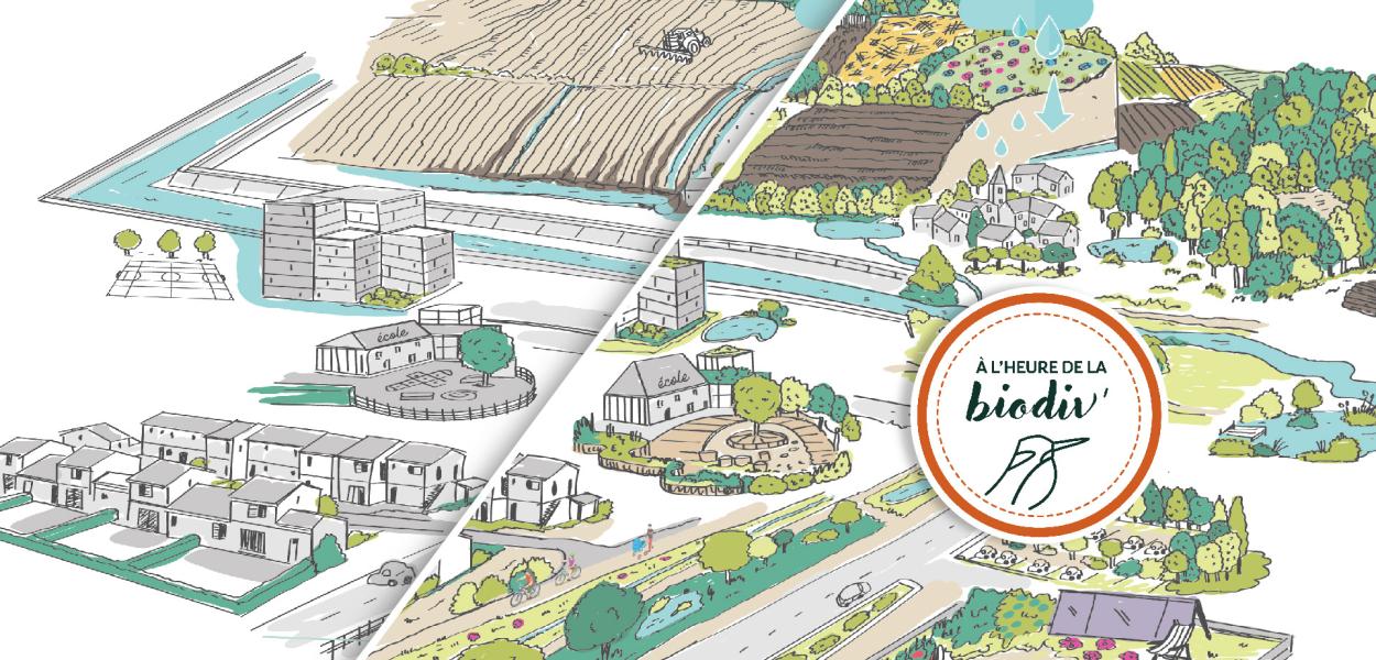 [À l'heure de la biodiv' !] Végétalisation 3/3 : comment construire un projet de végétalisation ?