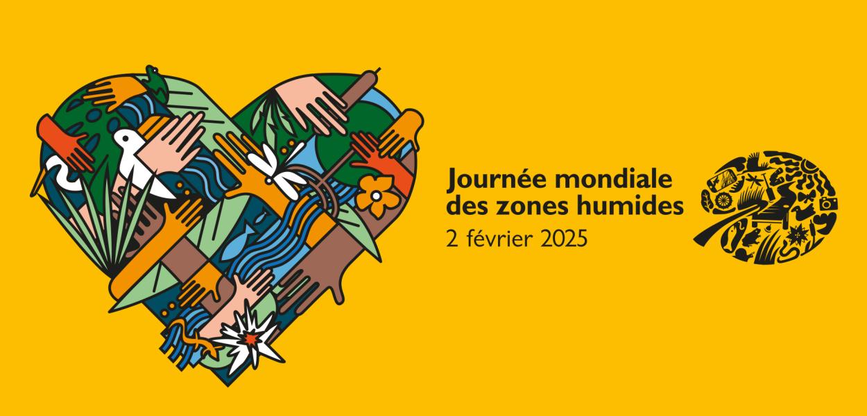 [Mois des zones humides 2025] Animations en région