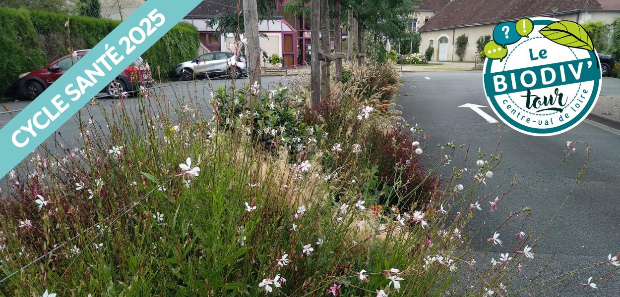 Cycle santé - visite à Buzançais (36) - Lutte contre les îlots de chaleur