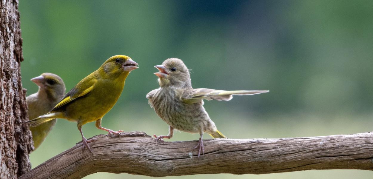 Réunion publique régionale « La nature près de chez vous »