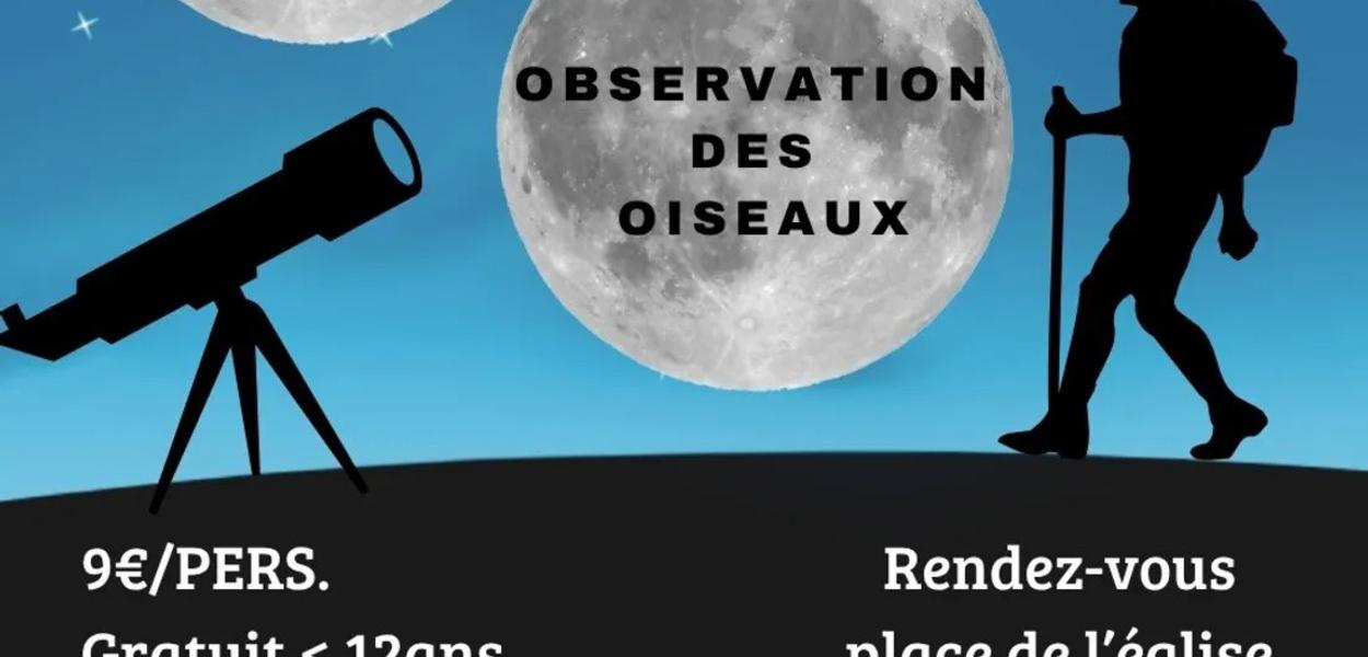 La Saucelle (28) : La marche des étoiles.