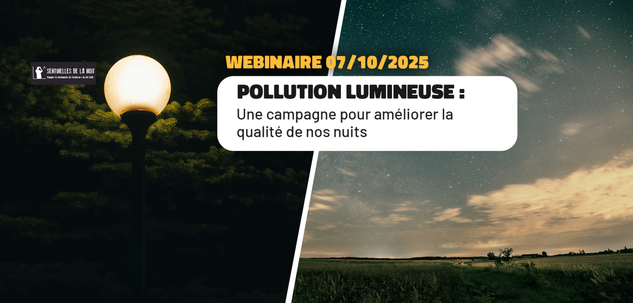 Pollution lumineuse : une campagne pour améliorer la qualité de nos nuits | FNE Centre-Val de Loire