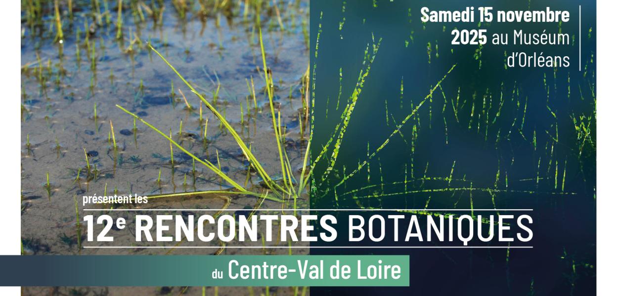 Rencontres botaniques du Centre-Val de Loire