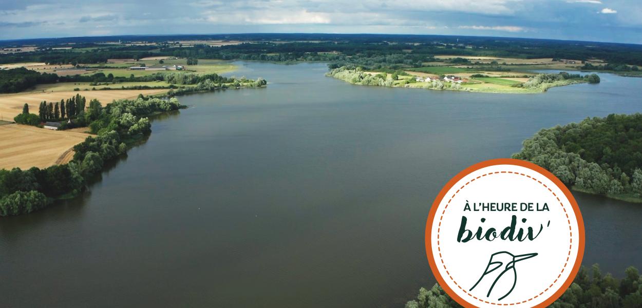 [À l'heure de la biodiv' !] Parcours ABC-IBC 3/4 : De la connaissance à la protection du patrimoine naturel