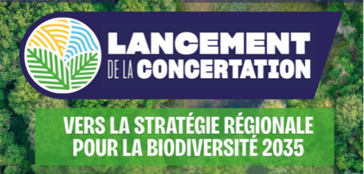 Vers la stratégie régionale pour la biodiversité 2035