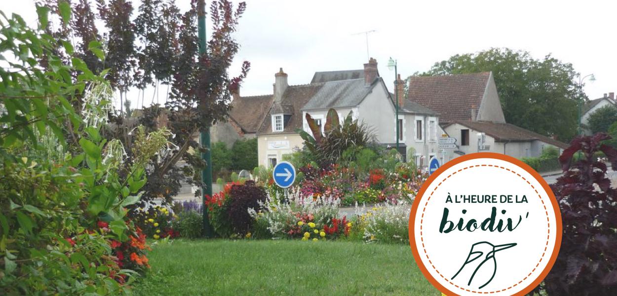 [À l'heure de la biodiv' !] Parcours ABC-IBC 4/4 : Faire vivre les plans d'action