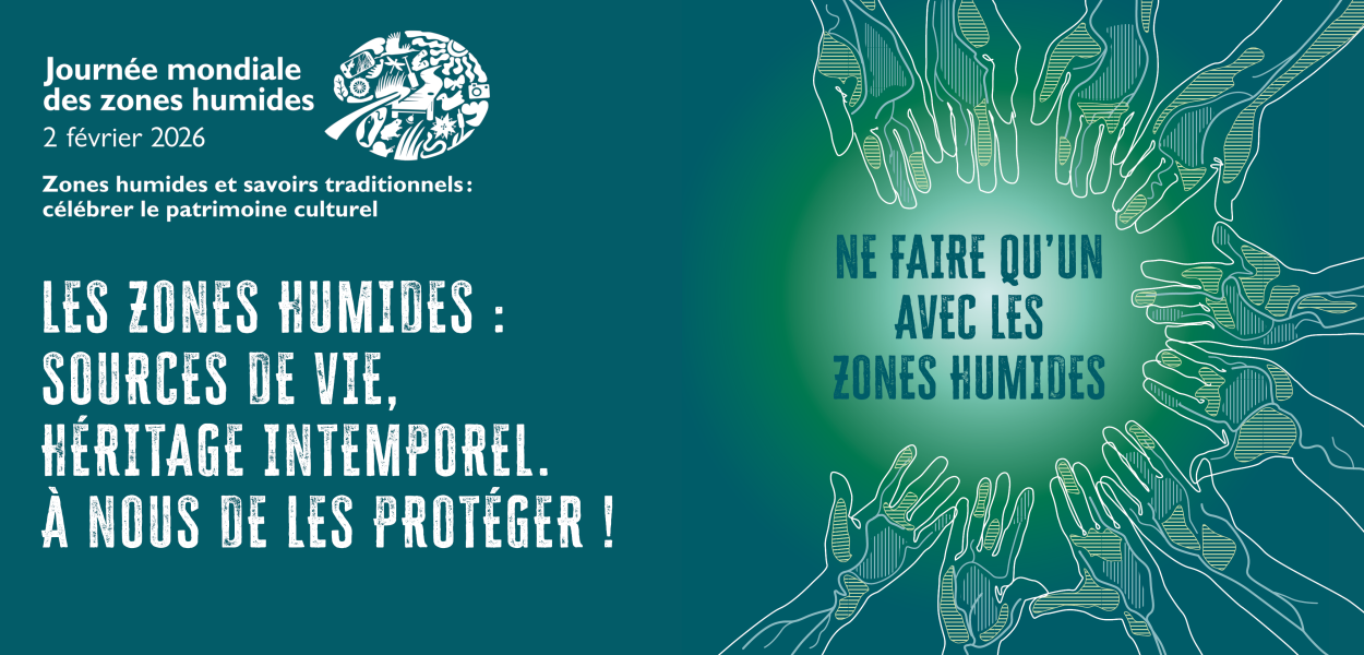 [Mois des zones humides 2026] Animations en région