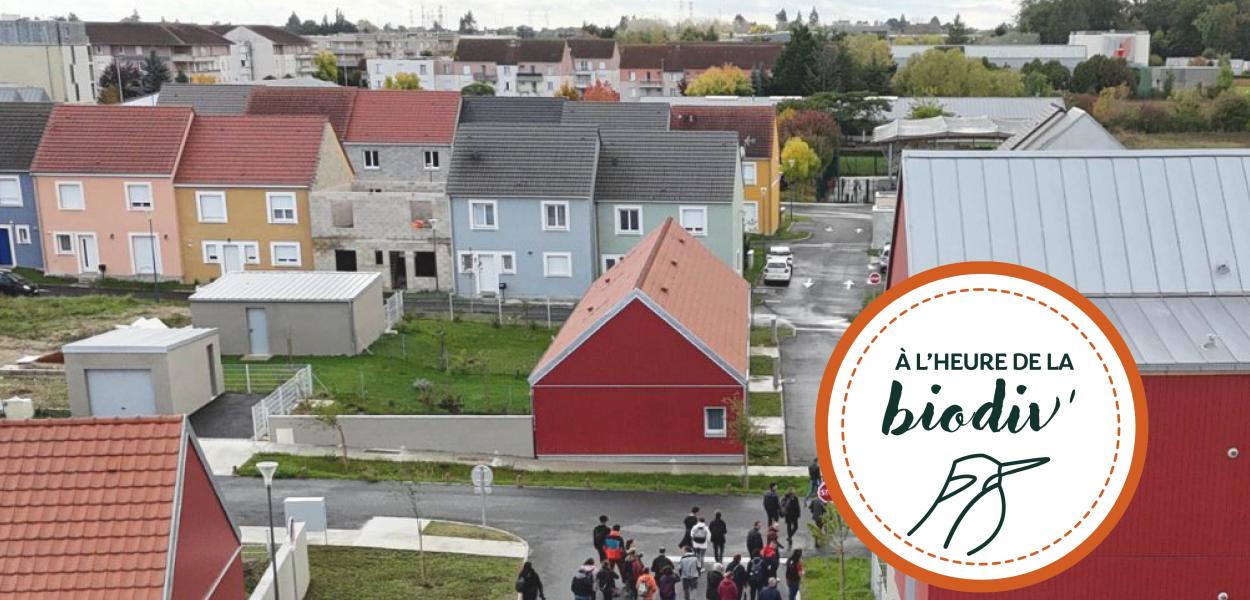 [À l'heure de la biodiv' !] Parcours Mobiliser les entreprises 1/4 : Biodiversité et entreprises, comprendre les liens pour agir