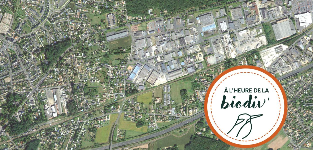 [À l'heure de la biodiv' !] Parcours Mobiliser les entreprises 4/4 : Zones d'activités : concilier développement économique et biodiversité