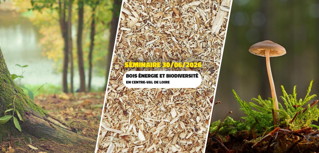 Séminaire - Bois énergie et biodiversité en Centre-Val de Loire