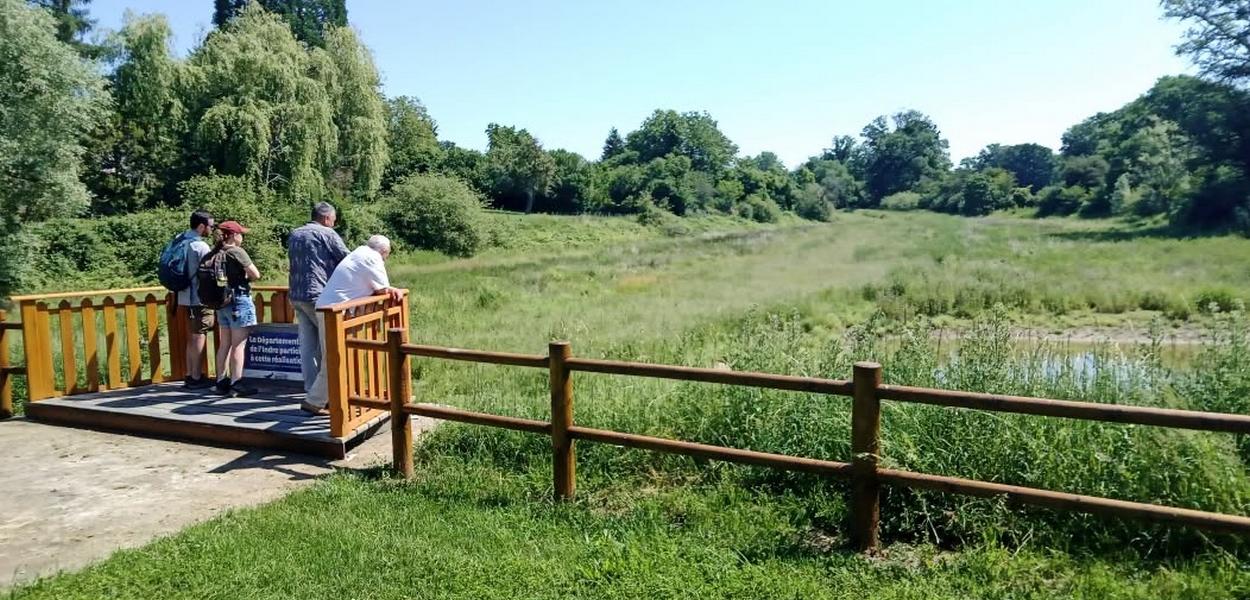 Transformer un étang dysfonctionnel en zone naturelle fonctionnelle | CPIE Brenne-Berry