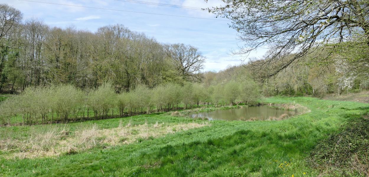 Journée interpôles de l'Observatoire régional de la biodiversité sur les zones humides