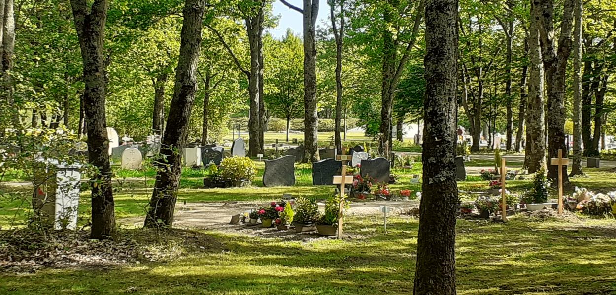 Végétaliser mon cimetière