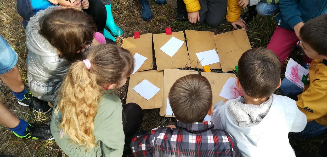 Monter un projet biodiversité dans ma classe