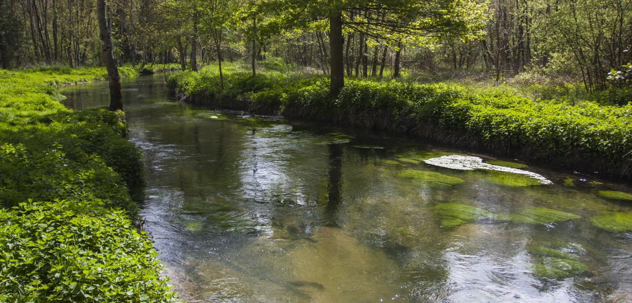 Lutter contre les déchets plastiques depuis les terres