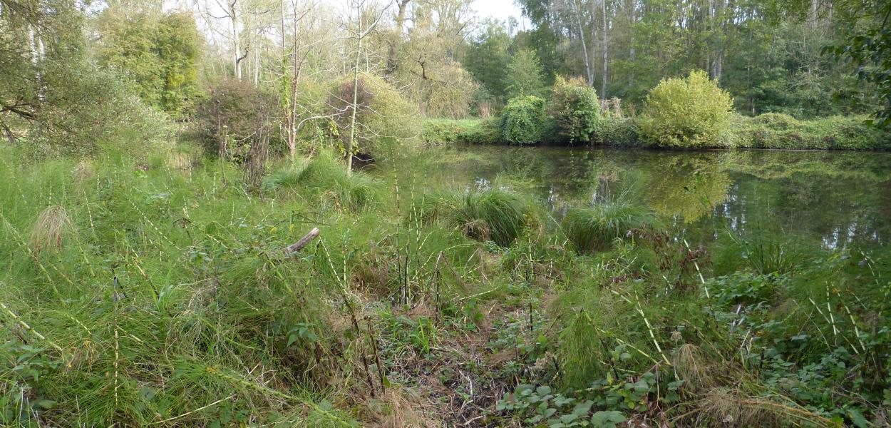 Protéger la biodiversité chez soi avec un contrat d'Obligations Réelles Environnementales (ORE)